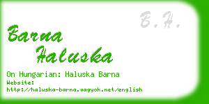 barna haluska business card